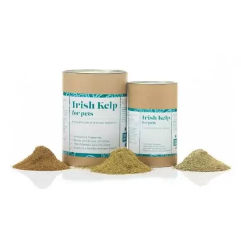 Kelp for dogs hot sale