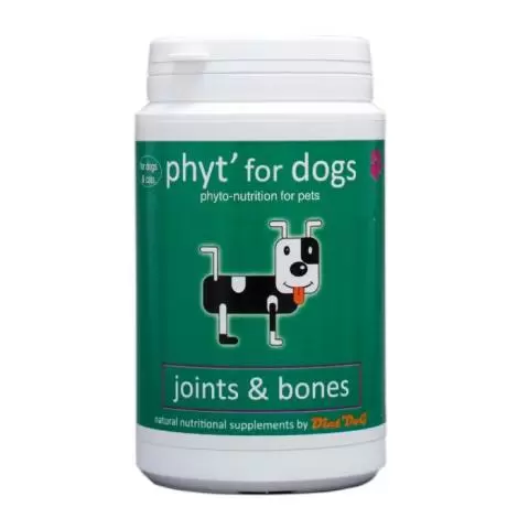 Dog vitamins for bones and joints 2025
