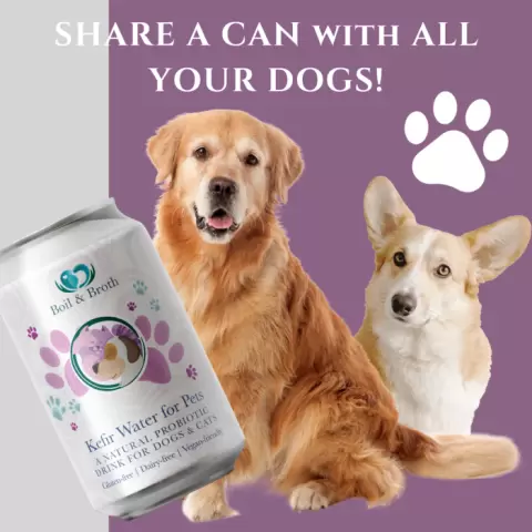 Boil Broth Kefir Water for Pets 330ml