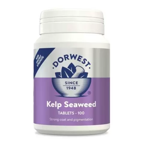 Dorwest Kelp Seaweed Tablets for Dogs and Cats
