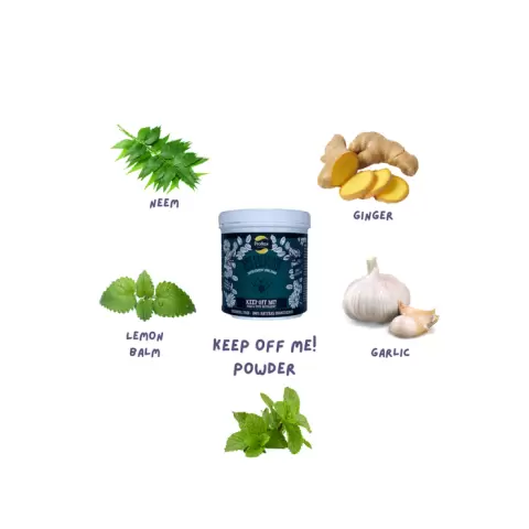 Garlic flea repellent cheap
