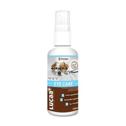 Eye specialist for hotsell dogs