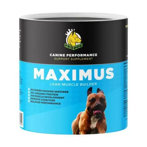 Canine vitamin supplements on sale