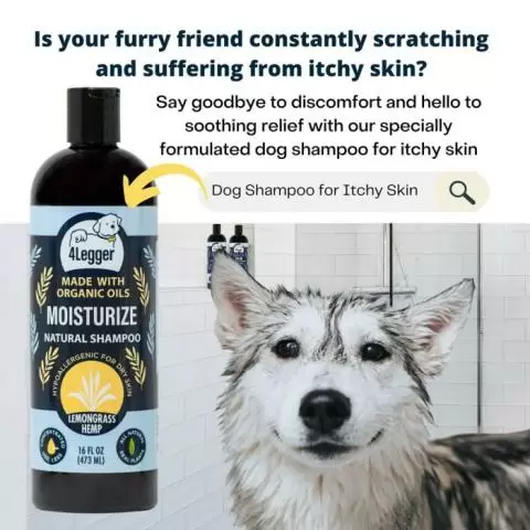 Organic dog shampoo outlet for itchy skin