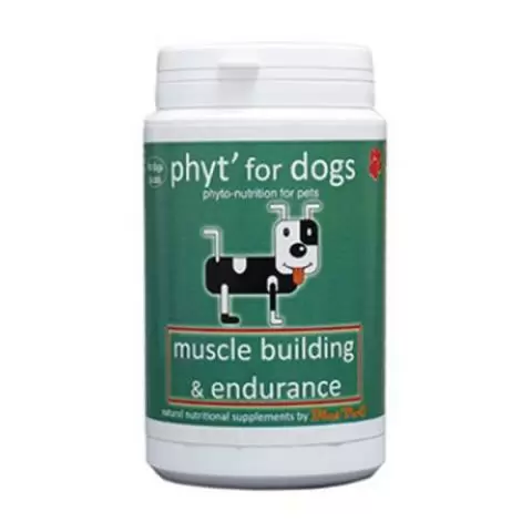 Dog vitamins for muscle growth discount