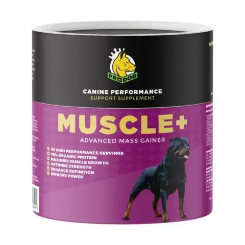 Muscle up on sale dog supplement