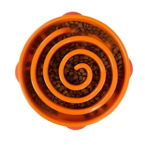 Outward hound slow feeder bowl 2025