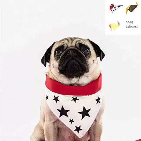 Dog cooling 2024 bandana uk