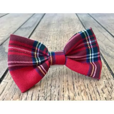 Bowtie boutique cheap