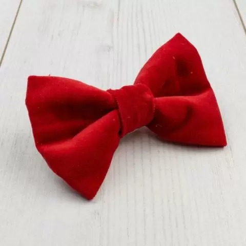 Albies Boutique Luxury Handmade Bow Tie for Dogs in Red Velvet