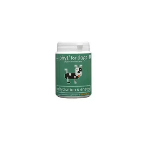 Royal canin rehydration support powder online