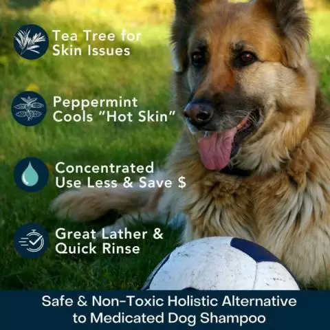 Medicated dog sale shampoo uk