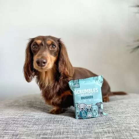 Scrumbles Dog Gnashers Dental Treats