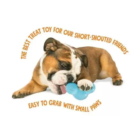 Best stuffable deals dog toys