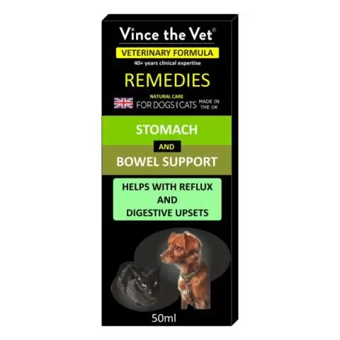 Colloidal silver for dogs upset stomach hotsell