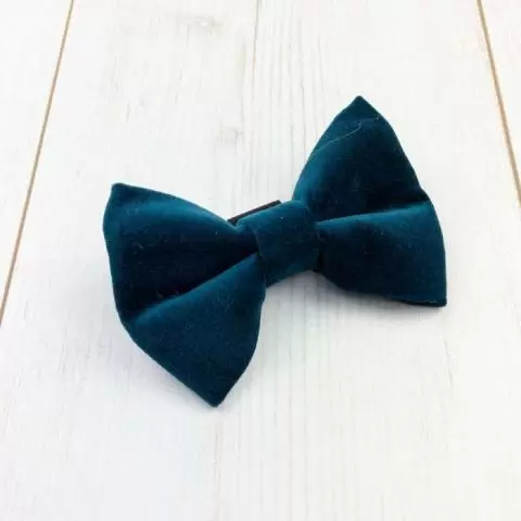 Teal dog 2025 bow tie