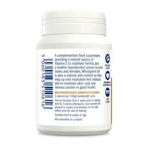 Vitamin e shop capsules for dogs