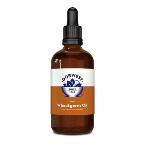 Wheat germ for dogs 2025