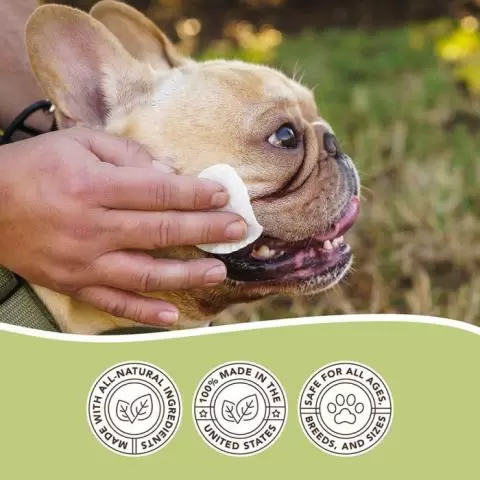 Natural dog wipes 2025
