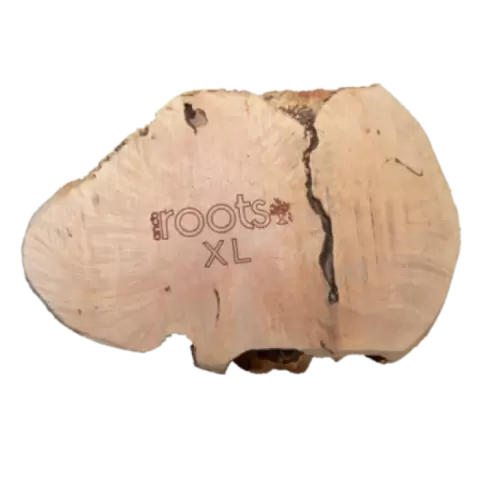 Anco root cheap dog chew