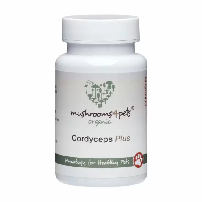 Mushrooms 4 Pets Organic Cordyceps Plus. Delivered by Healthful Pets