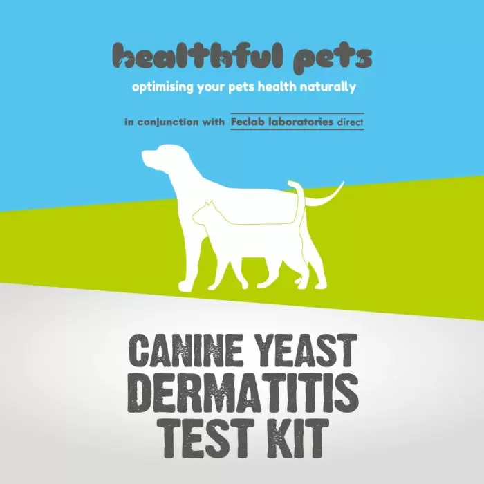 Healthful Pets Yeast Dermatitis Test Kit
