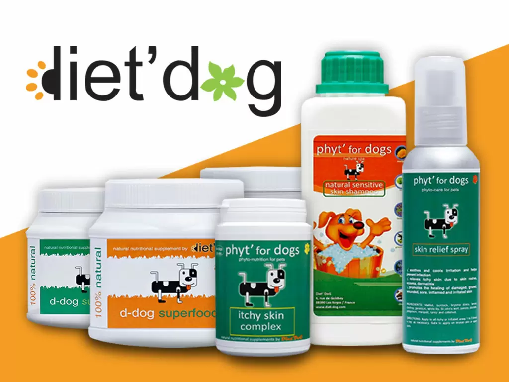 Itchy Skin By Richard Allport Diet'Dogs Consultant Vet