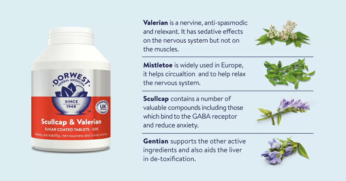 Relieve pet anxiety Healthful Pets