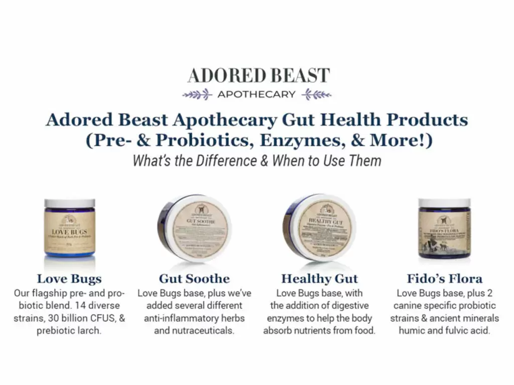 Rotational Feeding for Dogs Should You Rotate Foods and Supplements