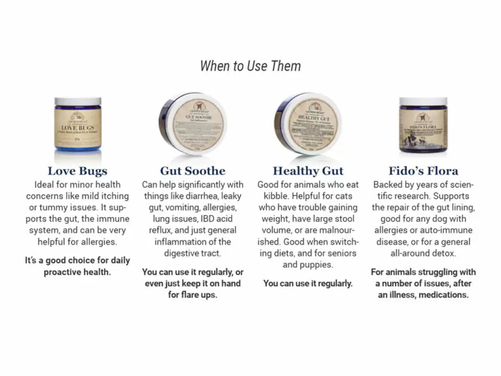 Rotational Feeding for Dogs Should You Rotate Foods and Supplements? by The Adored Beast Team