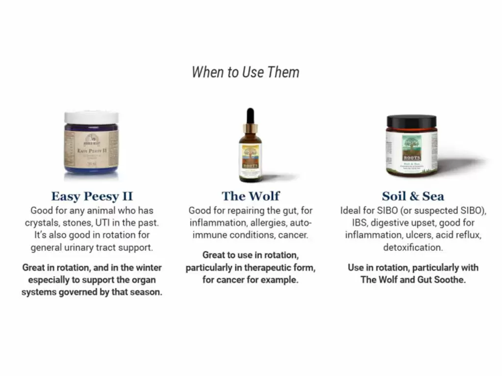 Rotational Feeding for Dogs Should You Rotate Foods and Supplements