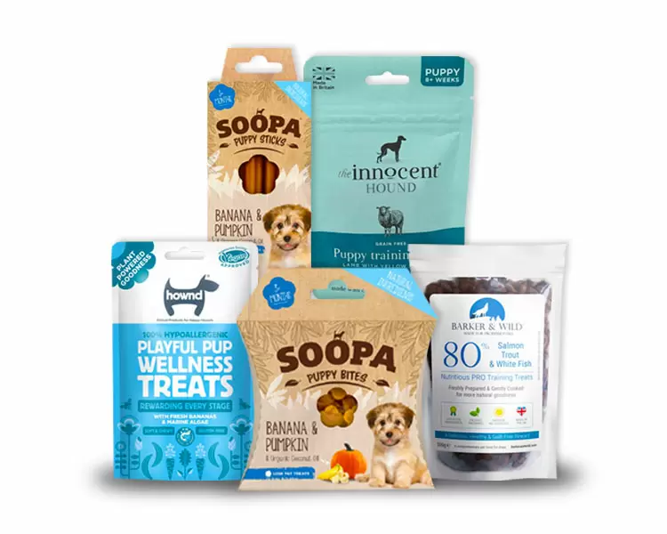 Getting A Puppy what should you buy?