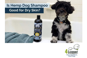 Is  4-Legger Hemp Dog Shampoo Good for Dry Skin?