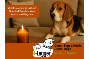 Dog with a scented candle