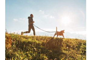 Man with dog doing canicross on a grassy landscape