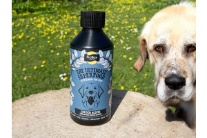 Senior Dogs with Cognitive Dysfunction & the Power of Bacopa - By Proflax 