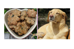 Homemade Tranquil calming treats, next to a yellow labrador