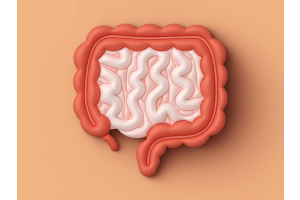Illustrative graphic of digestive system