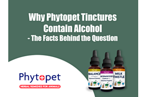 banner featuring phytopet products and strap line