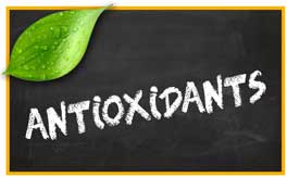 Antioxidants pet products