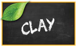 Clay pet products