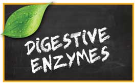 Digestive Enzymes pet products