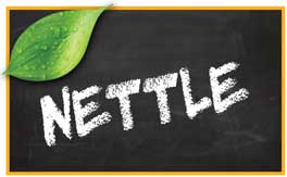 Nettle pet products
