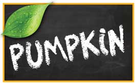 Pumpkin pet products