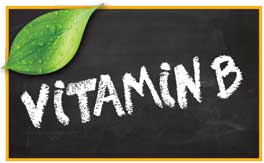 Vitamin B pet products