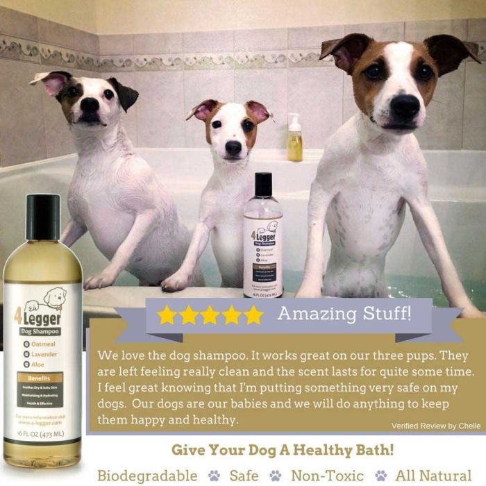 4-Legger Hypoallergenic Dog Shampoo Oatmeal, Lavender Aloe
