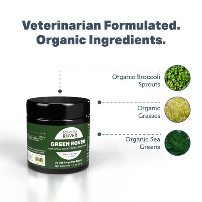 Four Leaf Rover Green Rover for Dogs 39g