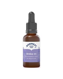Dorwest Arnica 30C Main