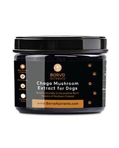 Borvo Nutrients Chaga Mushroom Extract for Dogs 40g
