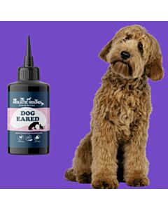 The Holistic Hound Dog Eared Main